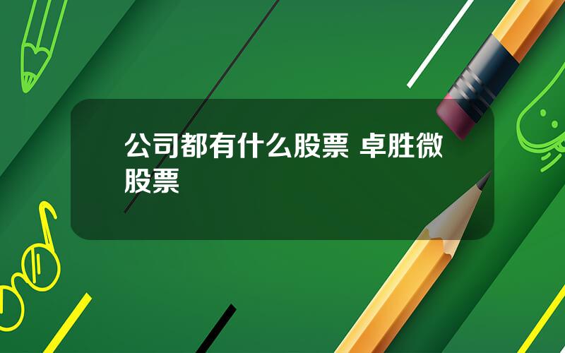 公司都有什么股票 卓胜微股票